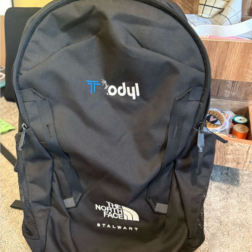 The North Face Black Stalwart Backpack